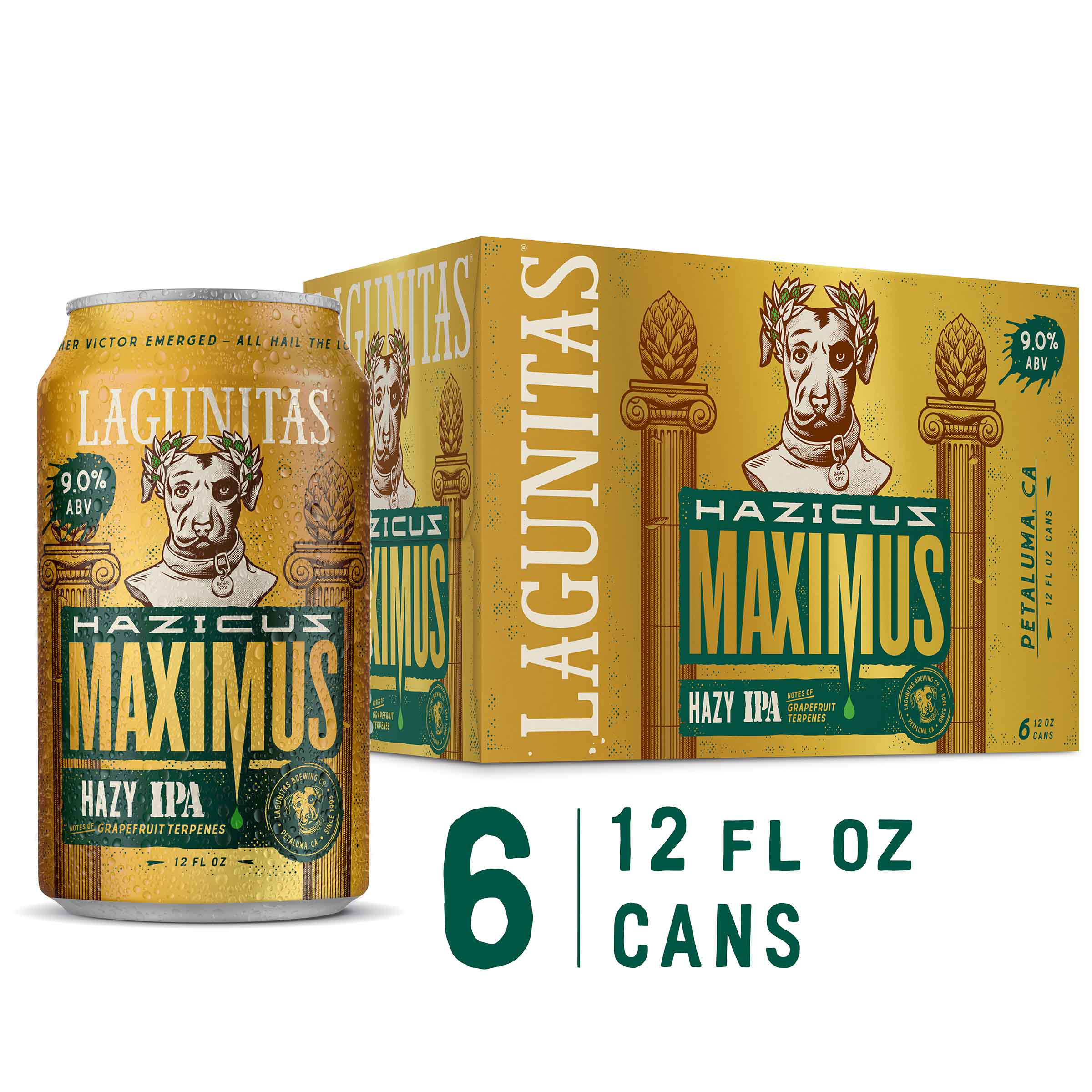 Lagunitas Hazicus Maximus Ale, 6 Pack, 12 fl. oz. Cans