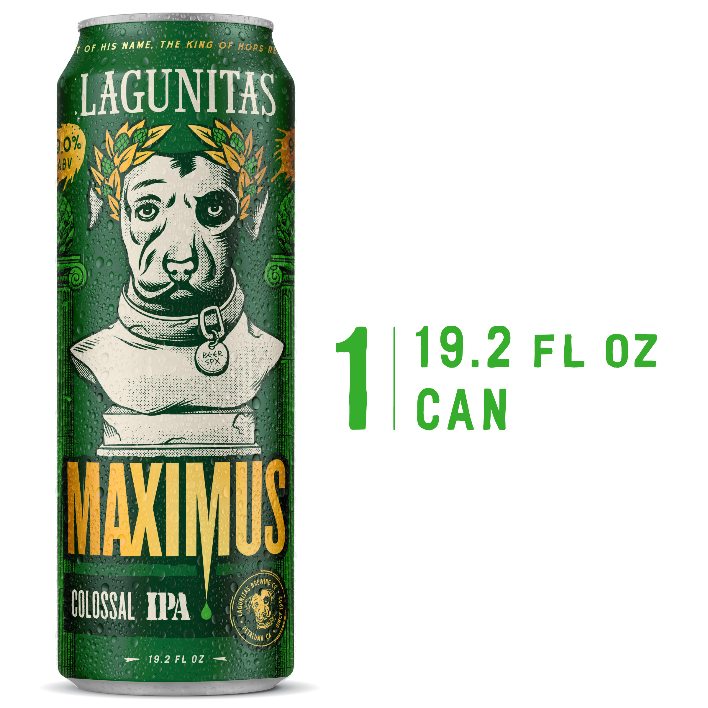Lagunitas Maximus Ale, Single 19.2 fl. oz. Can