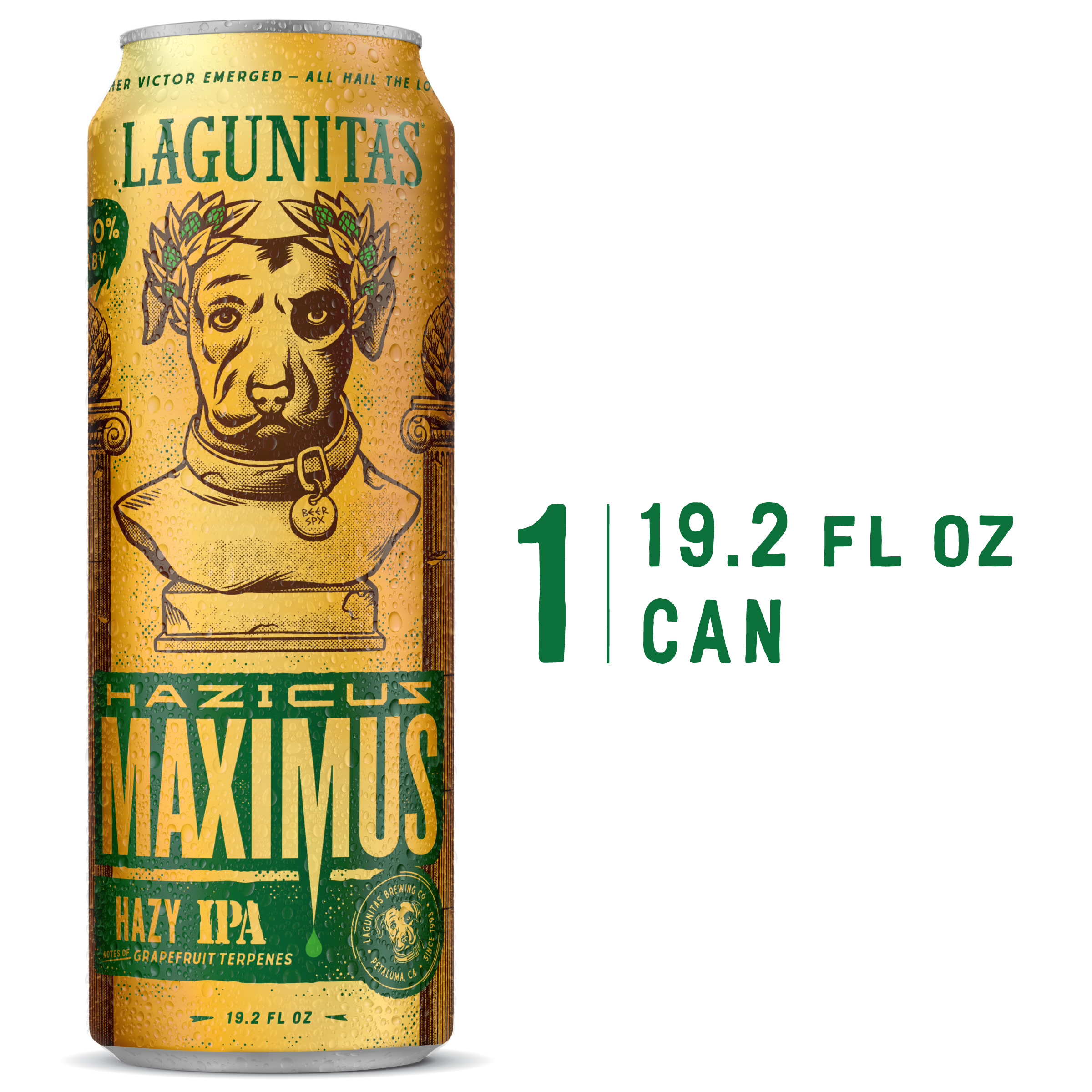 Lagunitas Hazicus Maximus Ale, Single 19.2 fl. oz. Can