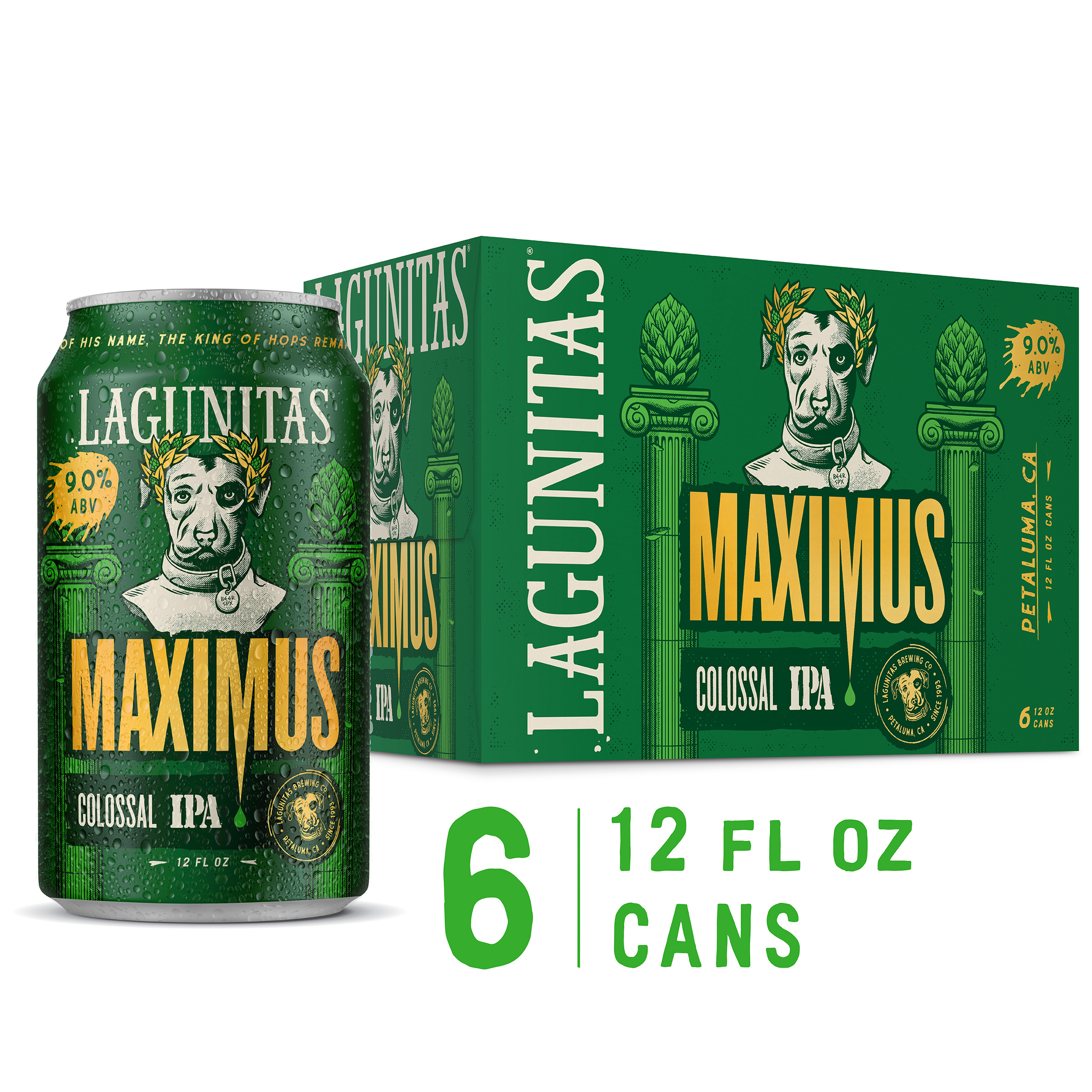 Lagunitas Maximus Ale, 6 Pack, 12 fl. oz. Cans